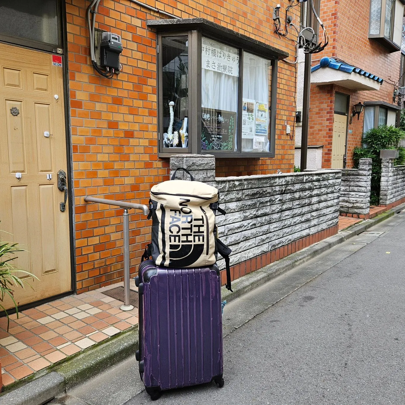 夏合宿へトレーナー帯同