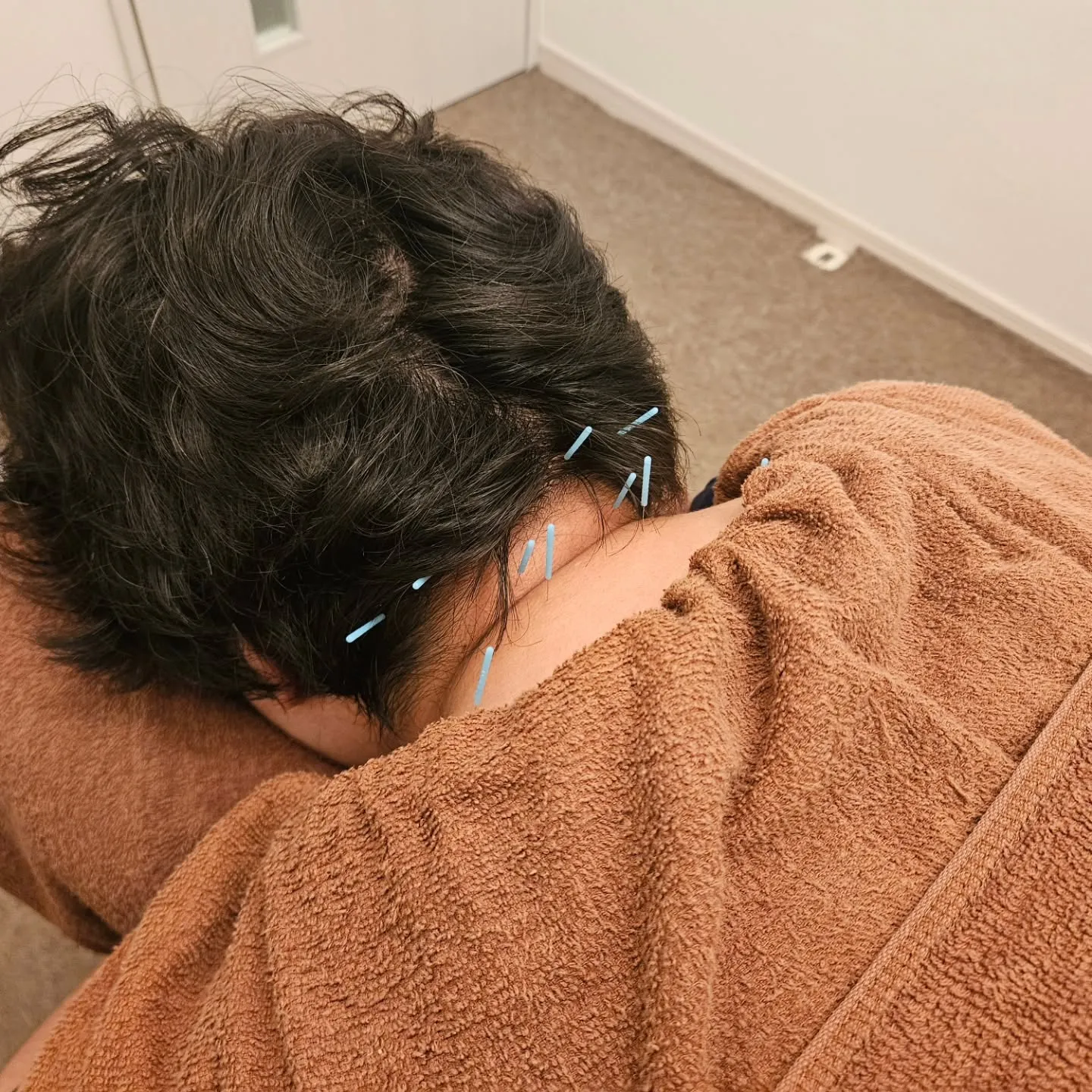 法政アナリスト(分析家)