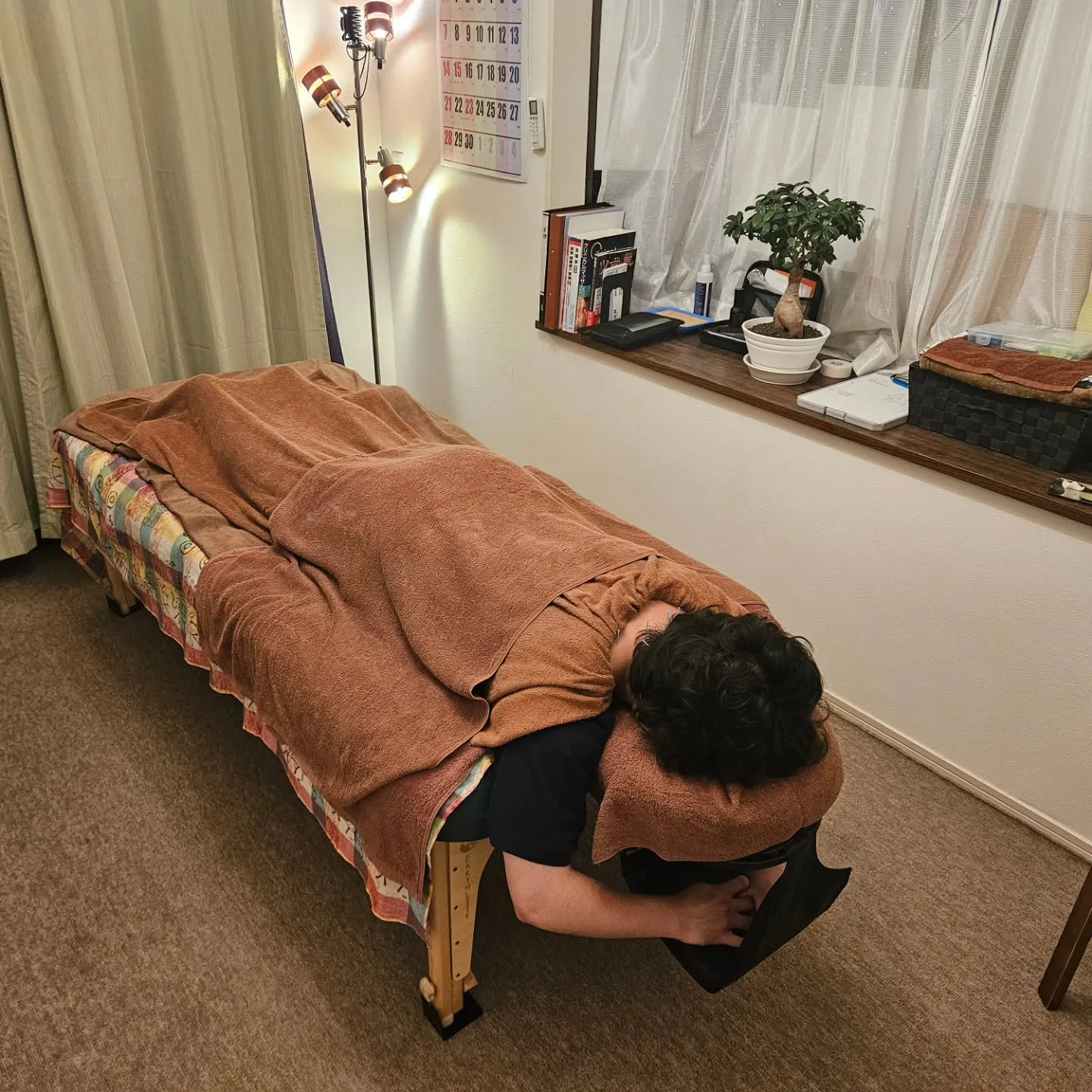 法政アナリスト(分析家)