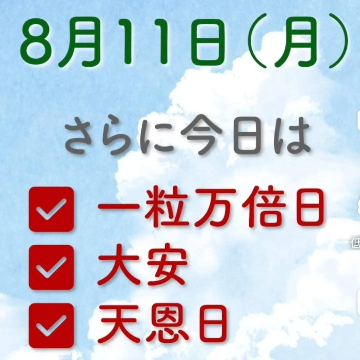 今日から新しい財布👛