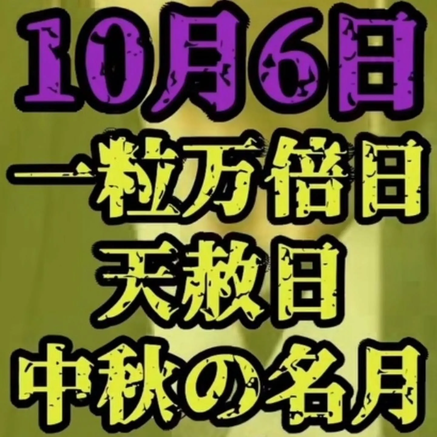 今日から新しい財布👛