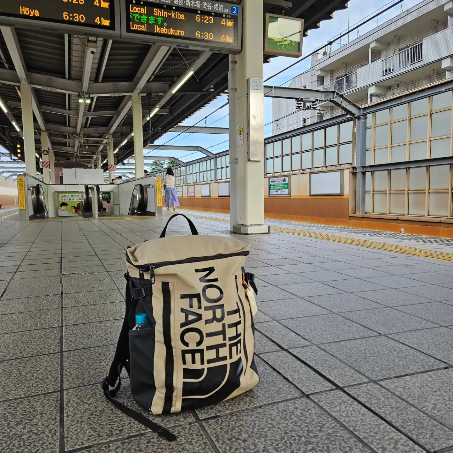 鎌倉まつり〜担ぎて応援